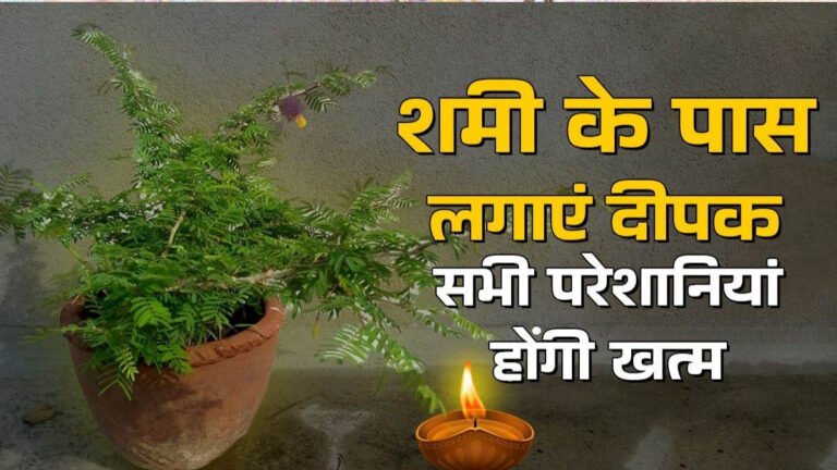 शमी के पौधे के पास दीपक जलाने से क्या होता है?