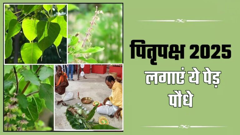 Pitru Paksha Remedies